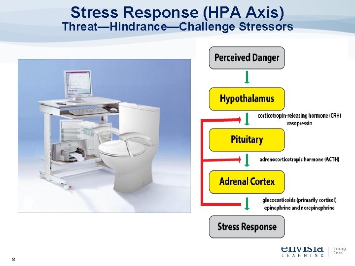 Stress Response (HPA Axis) Threat—Hindrance—Challenge Stressors 8 