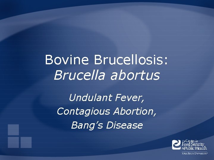 Bovine Brucellosis: Brucella abortus Undulant Fever, Contagious Abortion, Bang’s Disease 