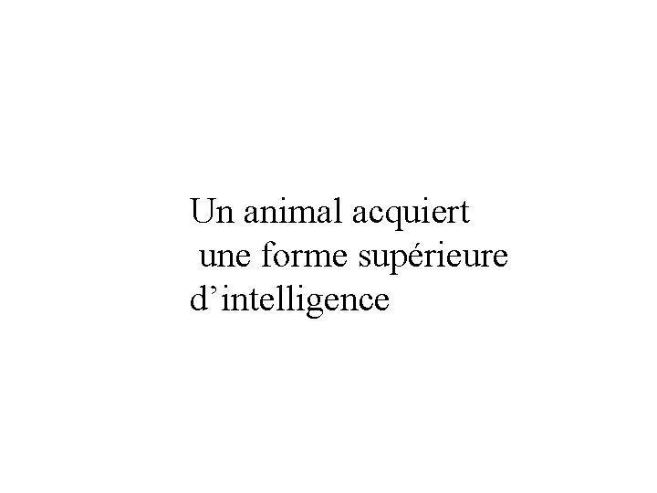 Un animal acquiert une forme supérieure d’intelligence 