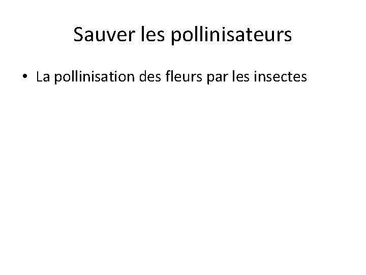 Sauver les pollinisateurs • La pollinisation des fleurs par les insectes 