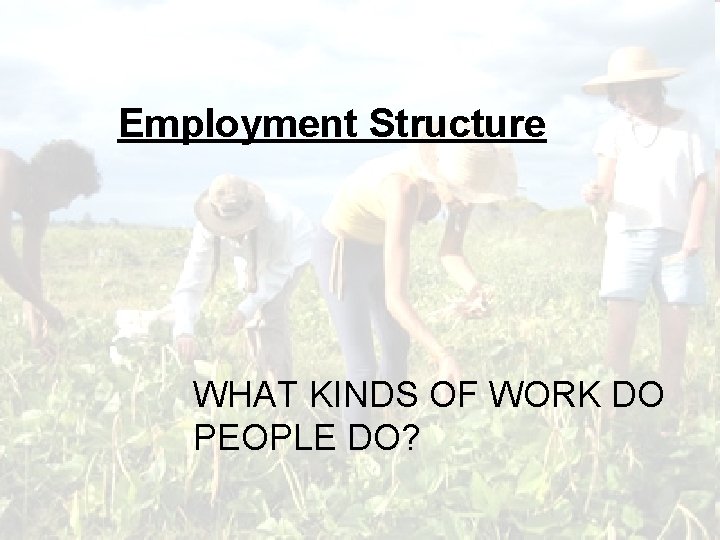 Employment Structure WHAT KINDS OF WORK DO PEOPLE DO? 