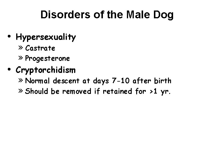 Disorders of the Male Dog • Hypersexuality • Cryptorchidism » Castrate » Progesterone »