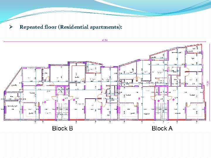 Ø Repeated floor (Residential apartments): 