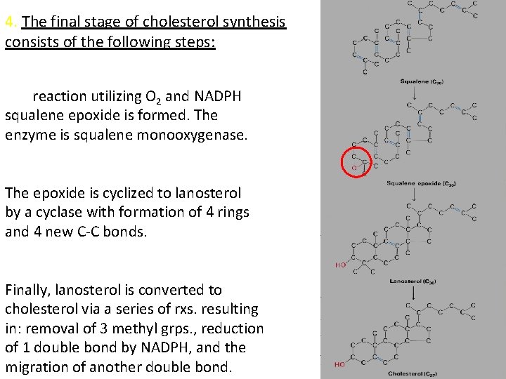 4. The final stage of cholesterol synthesis consists of the following steps: In a