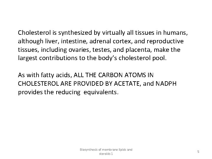 Cholesterol is synthesized by virtually all tissues in humans, although liver, intestine, adrenal cortex,