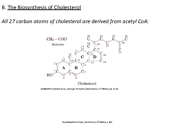 B. The Biosynthesis of Cholesterol All 27 carbon atoms of cholesterol are derived from