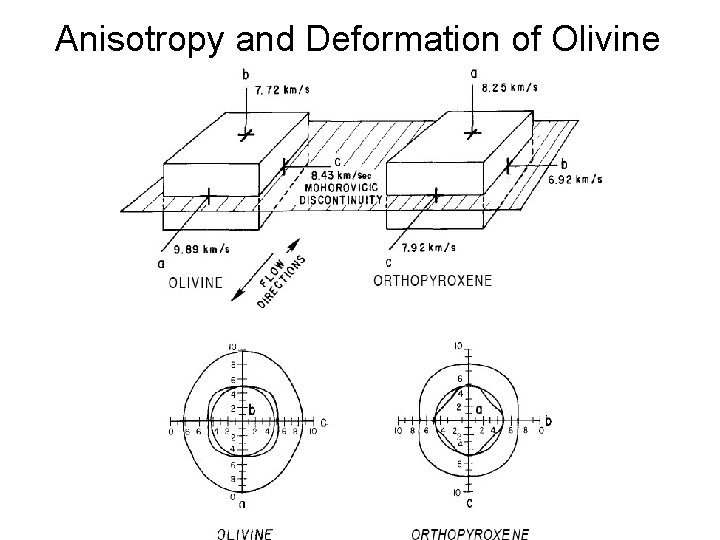 Anisotropy and Deformation of Olivine 