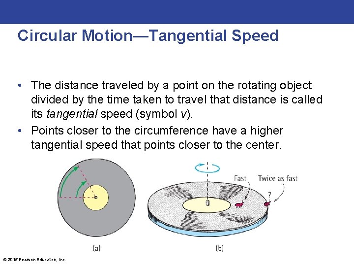 Circular Motion—Tangential Speed • The distance traveled by a point on the rotating object