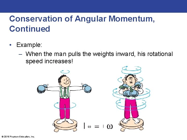 Conservation of Angular Momentum, Continued • Example: – When the man pulls the weights