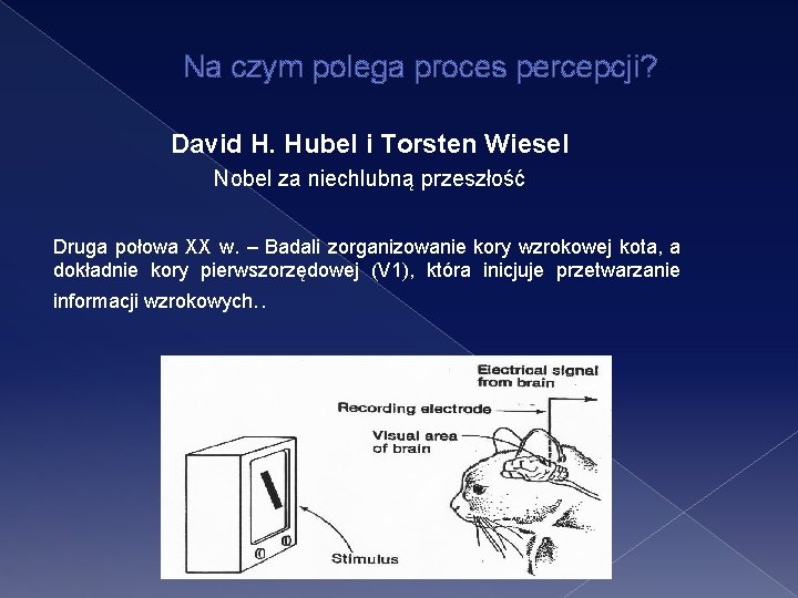 Na czym polega proces percepcji? David H. Hubel i Torsten Wiesel Nobel za niechlubną