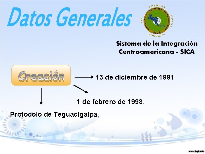 Sistema de la Integración Centroamericana - SICA Creación 13 de diciembre de 1991 1