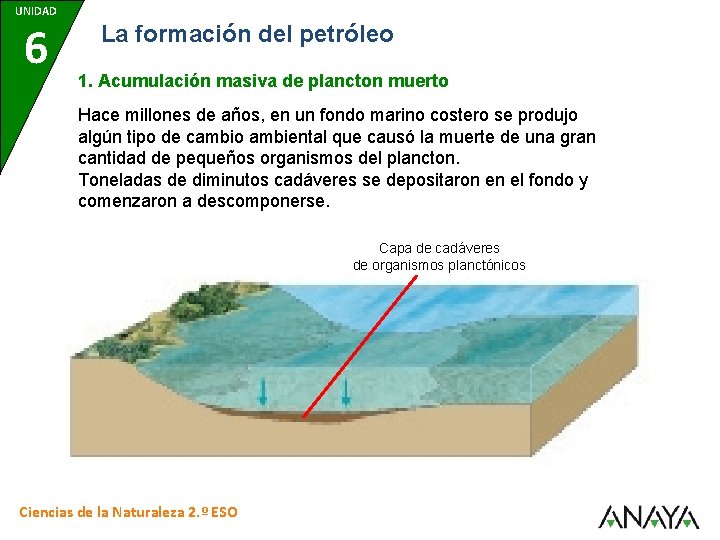 UNIDAD 6 La formación del petróleo 1. Acumulación masiva de plancton muerto Hace millones