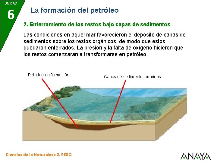 UNIDAD 6 La formación del petróleo 2. Enterramiento de los restos bajo capas de