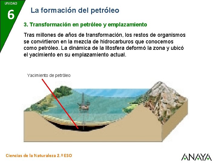 UNIDAD 6 La formación del petróleo 3. Transformación en petróleo y emplazamiento Tras millones