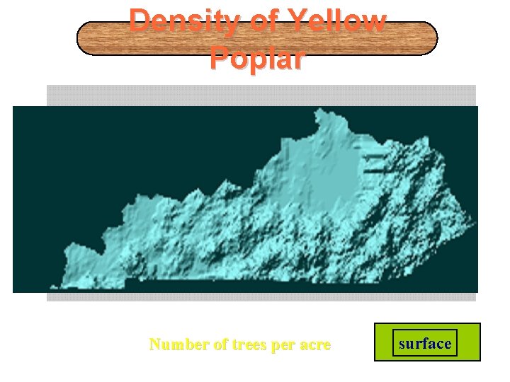 Density of Yellow Poplar 0 0. 01 -2 >2 Number of trees per acre Density of Yellow Poplar 0 0. 01 -2 >2 Number of trees per acre