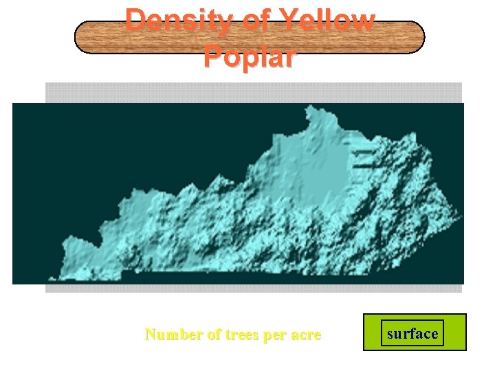 Density of Yellow Poplar 0 0. 01 -2 >2 Number of trees per acre