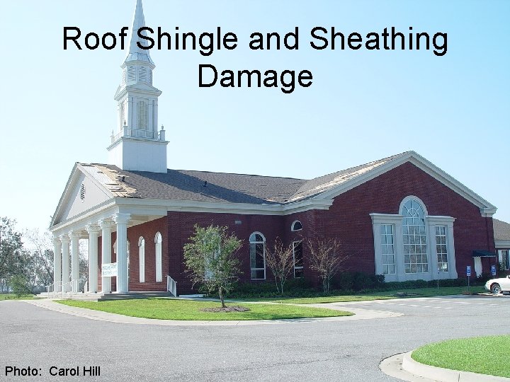 Roof Shingle and Sheathing Damage Photo: Carol Hill 