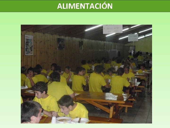 ALIMENTACIÓN 