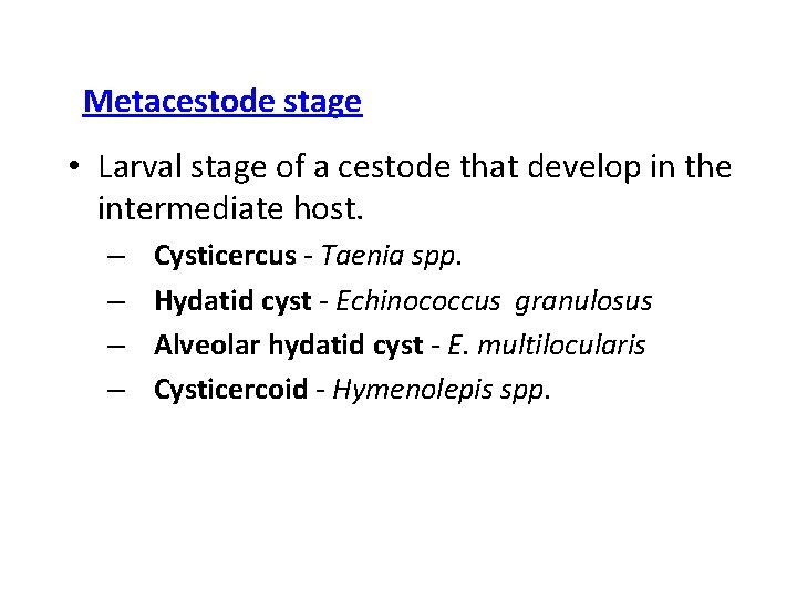 Metacestode stage • Larval stage of a cestode that develop in the intermediate host.