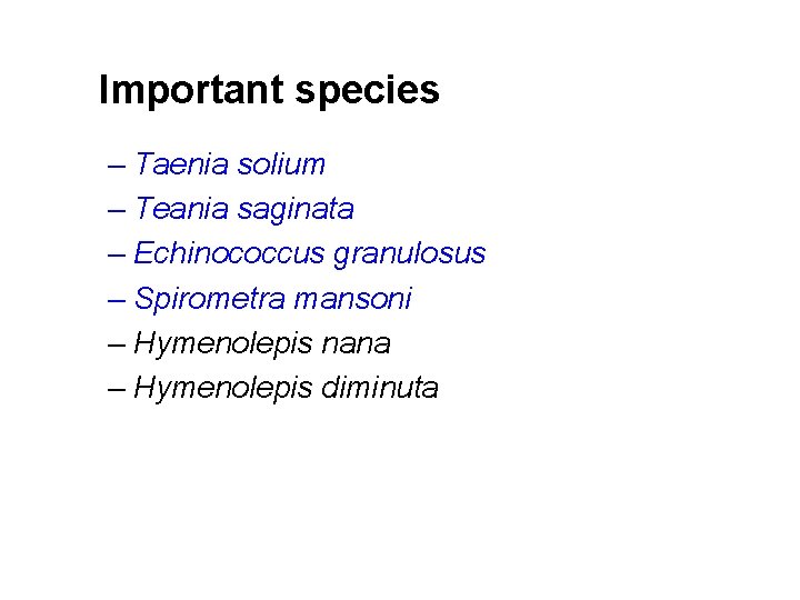 Important species – Taenia solium – Teania saginata – Echinococcus granulosus – Spirometra mansoni