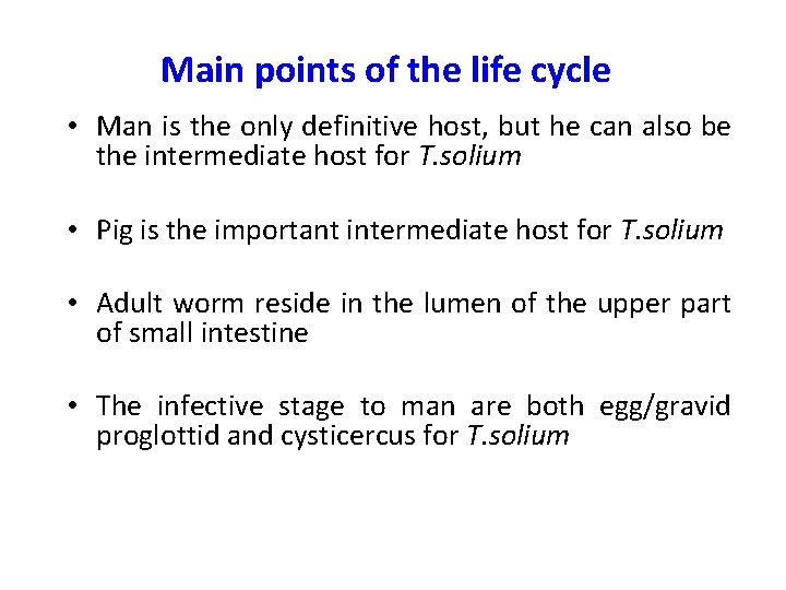Main points of the life cycle • Man is the only definitive host, but