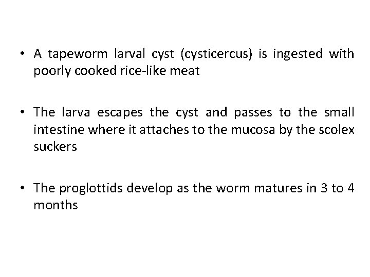  • A tapeworm larval cyst (cysticercus) is ingested with poorly cooked rice-like meat