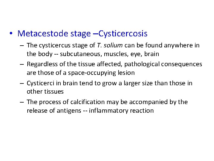  • Metacestode stage –Cysticercosis – The cysticercus stage of T. solium can be