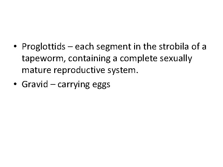  • Proglottids – each segment in the strobila of a tapeworm, containing a