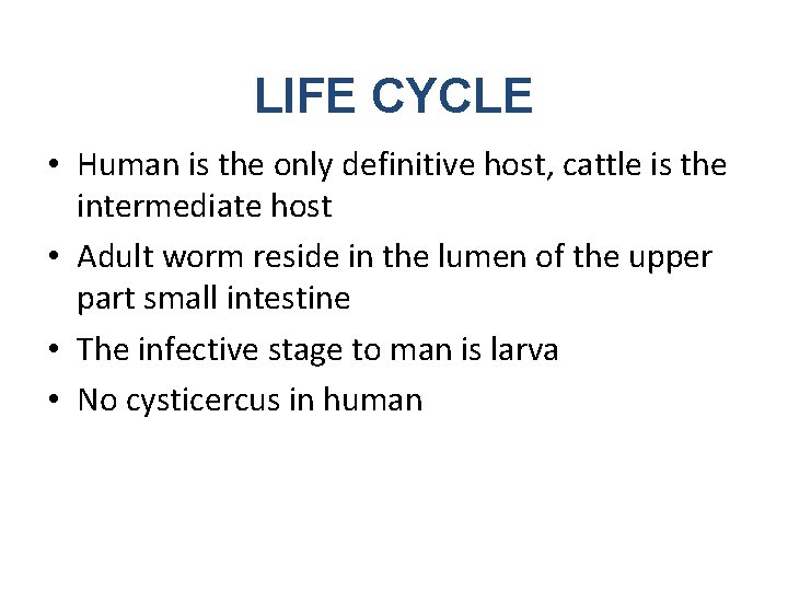 LIFE CYCLE • Human is the only definitive host, cattle is the intermediate host