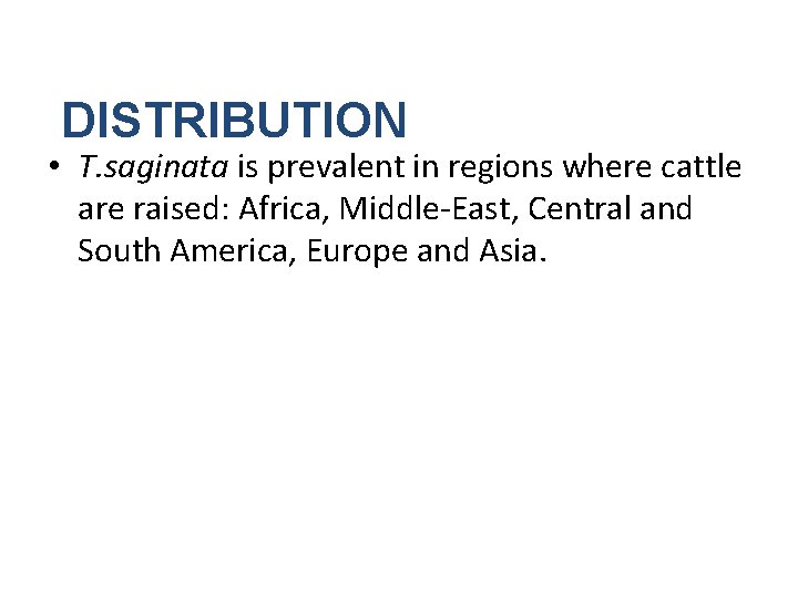 DISTRIBUTION • T. saginata is prevalent in regions where cattle are raised: Africa, Middle-East,