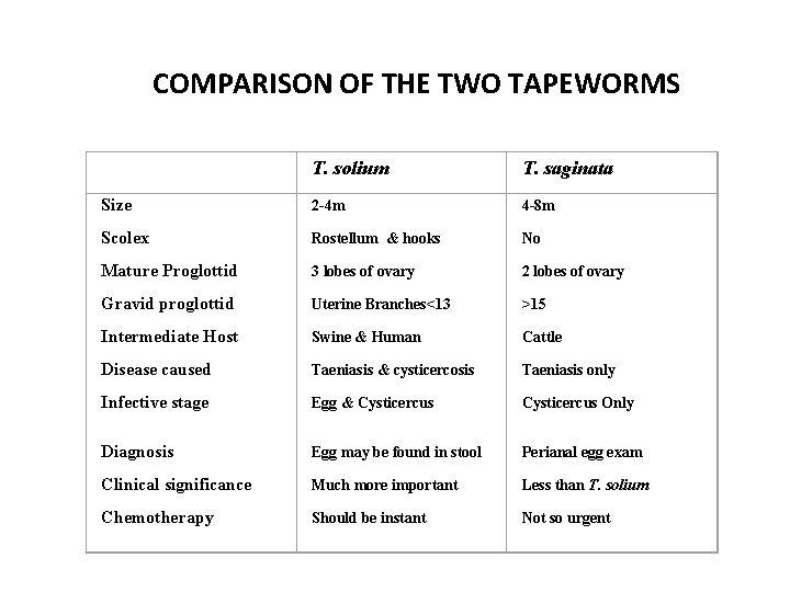 COMPARISON OF THE TWO TAPEWORMS T. solium T. saginata Size 2 -4 m 4