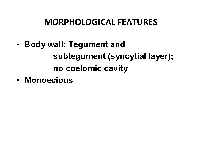 MORPHOLOGICAL FEATURES • Body wall: Tegument and subtegument (syncytial layer); no coelomic cavity • MORPHOLOGICAL FEATURES • Body wall: Tegument and subtegument (syncytial layer); no coelomic cavity •