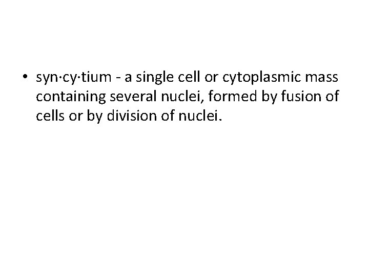 • syn·cy·tium - a single cell or cytoplasmic mass containing several nuclei, formed • syn·cy·tium - a single cell or cytoplasmic mass containing several nuclei, formed