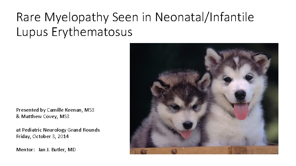 Rare Myelopathy Seen in Neonatal/Infantile Lupus Erythematosus Presented by Camille Keenan, MS 3 & Rare Myelopathy Seen in Neonatal/Infantile Lupus Erythematosus Presented by Camille Keenan, MS 3 &