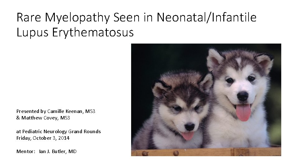 Rare Myelopathy Seen in Neonatal/Infantile Lupus Erythematosus Presented by Camille Keenan, MS 3 &