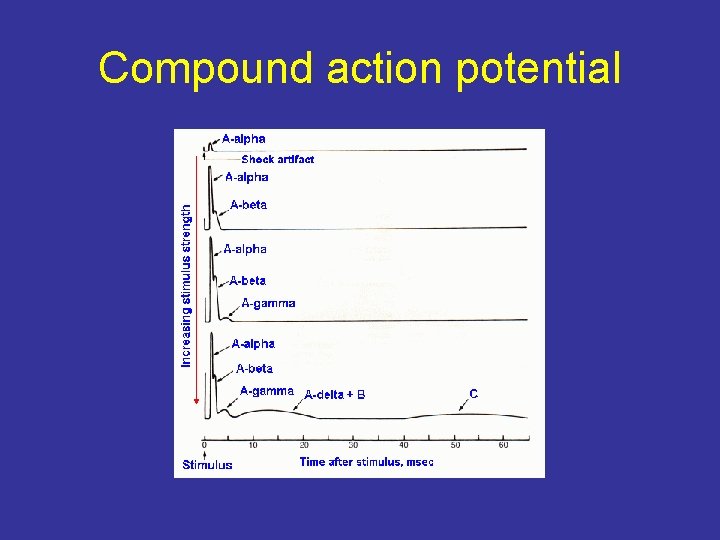 Compound action potential 