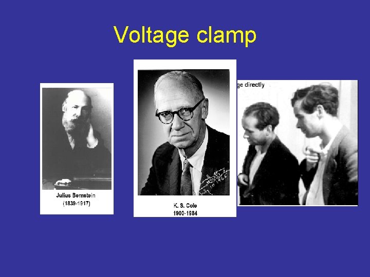 Voltage clamp 
