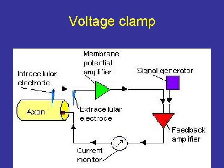Voltage clamp 