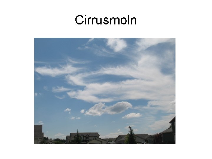 Cirrusmoln 