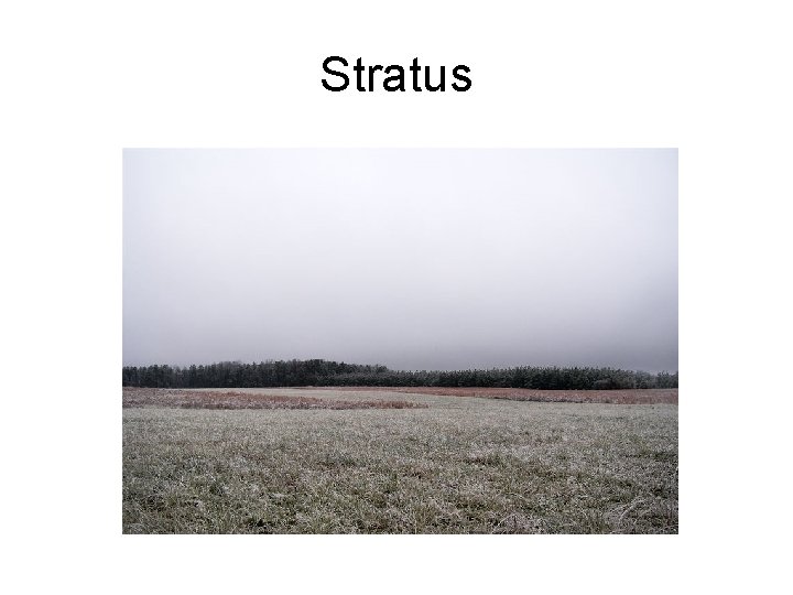 Stratus 