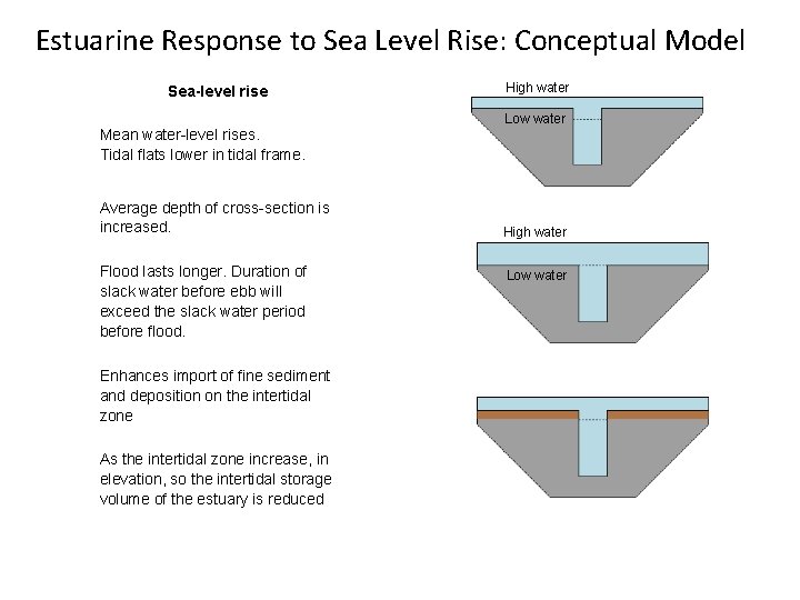 Estuarine Response to Sea Level Rise: Conceptual Model Sea-level rise Mean water-level rises. Tidal