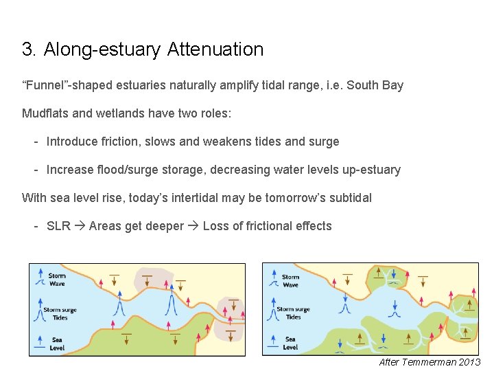 3. Along-estuary Attenuation “Funnel”-shaped estuaries naturally amplify tidal range, i. e. South Bay Mudflats