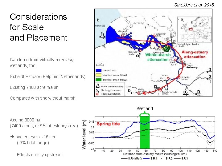 Smolders et al, 2015 Considerations for Scale and Placement Can learn from virtually removing