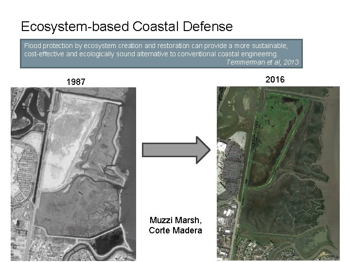 Ecosystem-based Coastal Defense Flood protection by ecosystem creation and restoration can provide a more