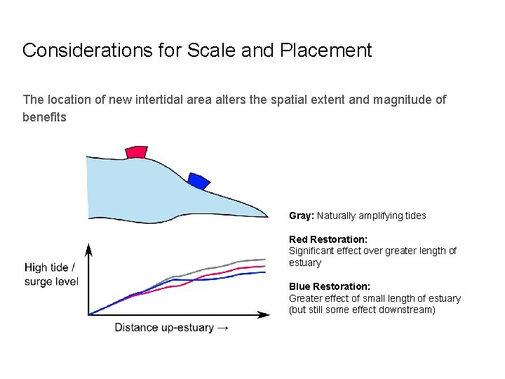 Considerations for Scale and Placement The location of new intertidal area alters the spatial