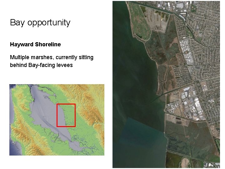 Bay opportunity Hayward Shoreline Multiple marshes, currently sitting behind Bay-facing levees 
