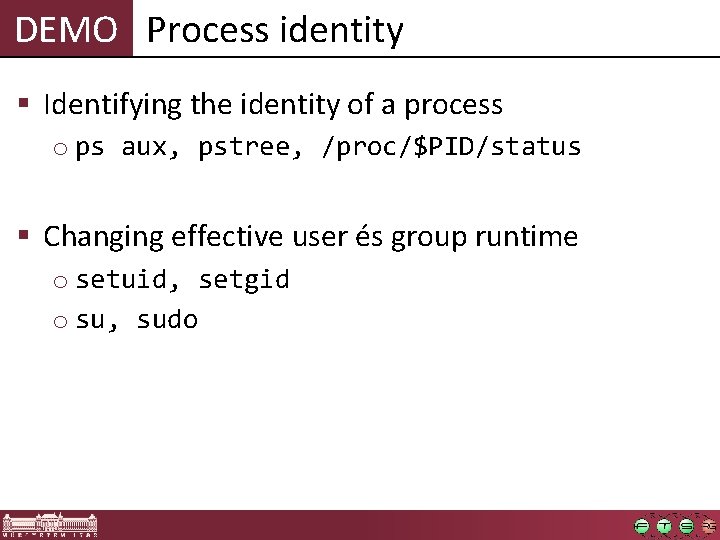 DEMO Process identity § Identifying the identity of a process o ps aux, pstree,
