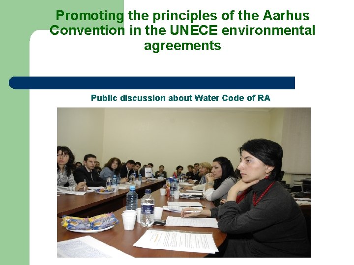 Promoting the principles of the Aarhus Convention in the UNECE environmental agreements Public discussion