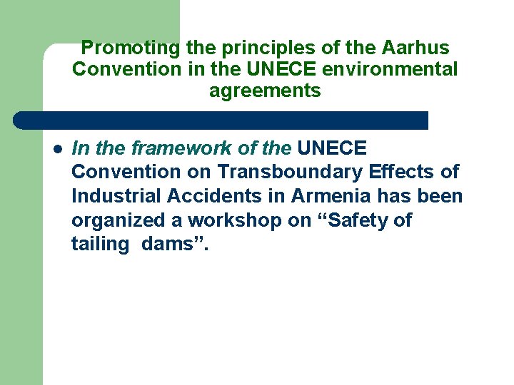 Promoting the principles of the Aarhus Convention in the UNECE environmental agreements l In