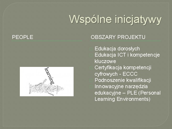 Wspólne inicjatywy PEOPLE OBSZARY PROJEKTU � � � Edukacja dorosłych Edukacja ICT i kompetencje